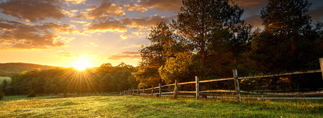 5 Tips for Boosting Cell Signal In Rural Areas